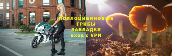 прущий лед Алексеевка