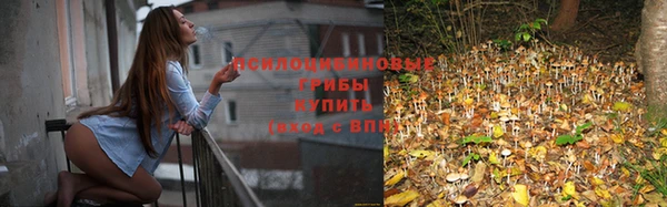 2c-b Алексин