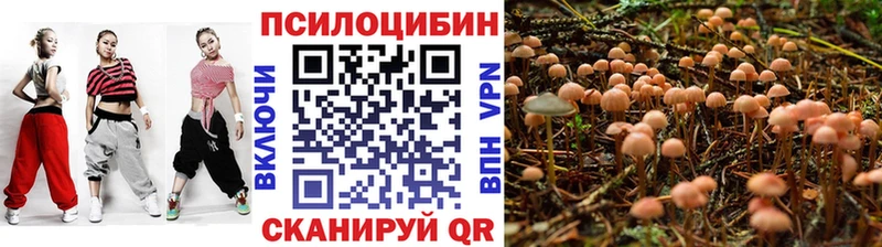Галлюциногенные грибы MAGIC MUSHROOMS гидра tor Удачный